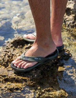 REEF SANDALS OASIS BLACK -Vans || Salty Crew || Vissla Sales reef infradito oasis black 7